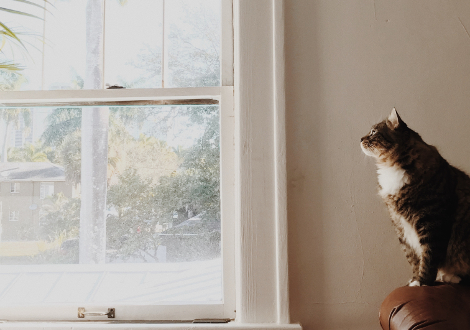 Free HTML5 Website Template by FreeHTML5.co