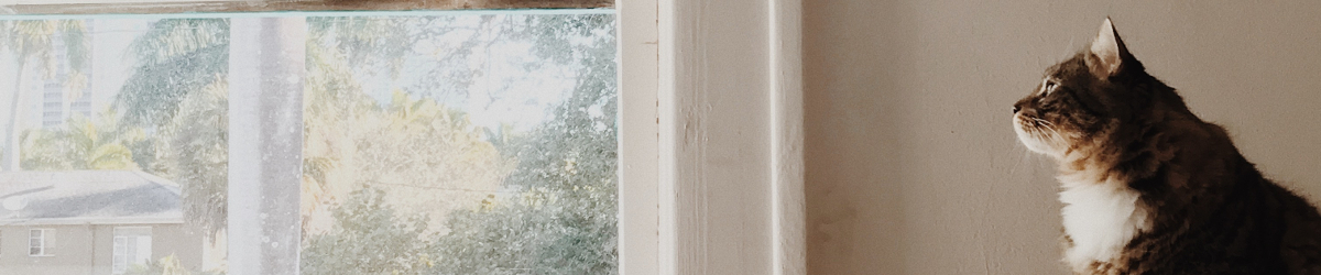 Free HTML5 Bootstrap